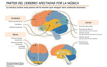 http://ontinyentpsycologo.wordpress.com/2014/09/26/efectos-de-la-musica-en-el-cerebro-infantil/